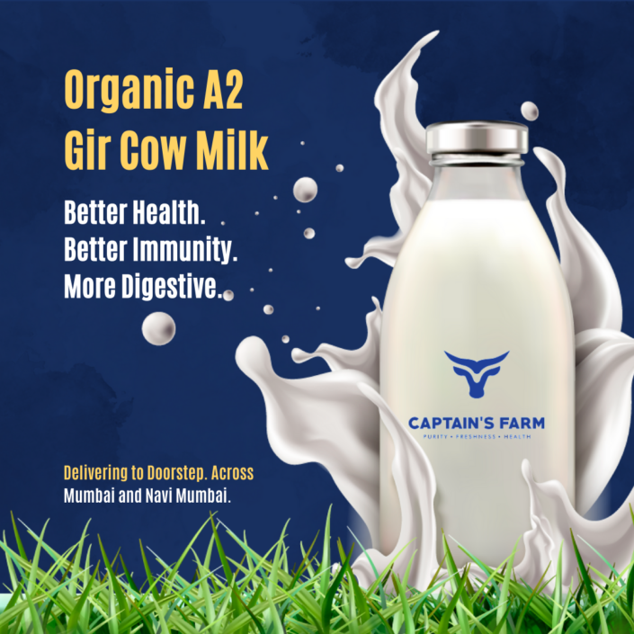 Buy Gir Cow A Milk Online In Mumbai Navi Mumbai Captain S Farm