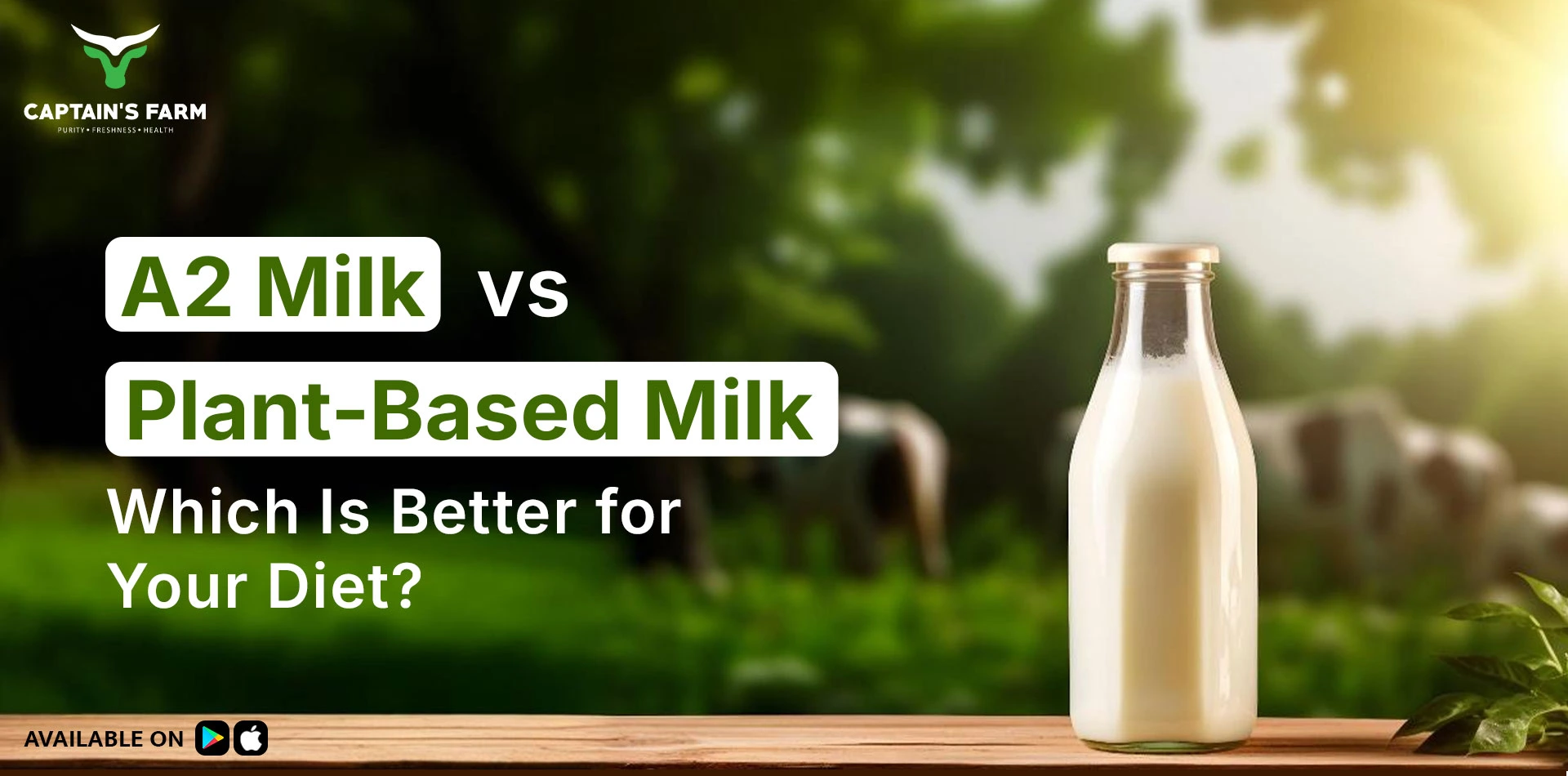 A2 vs plant-based milk