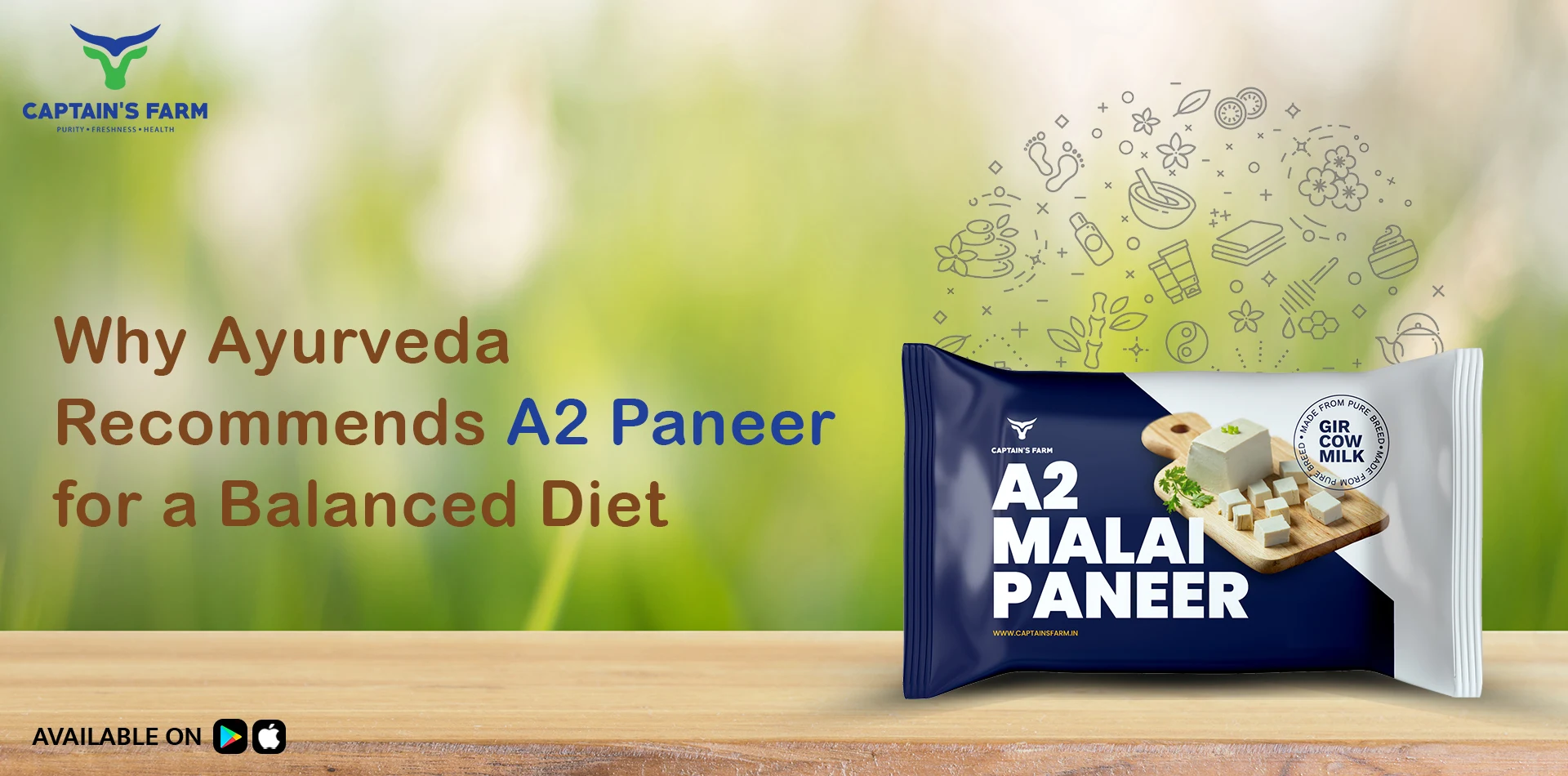 A2 Paneer