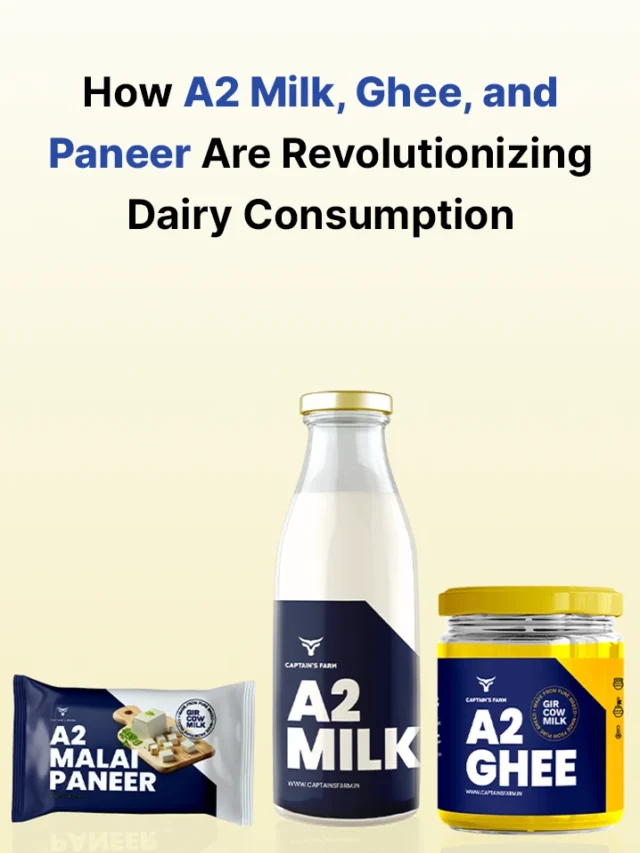 How A2 Milk, Ghee, and Paneer Are Revolutionizing Dairy Consumption