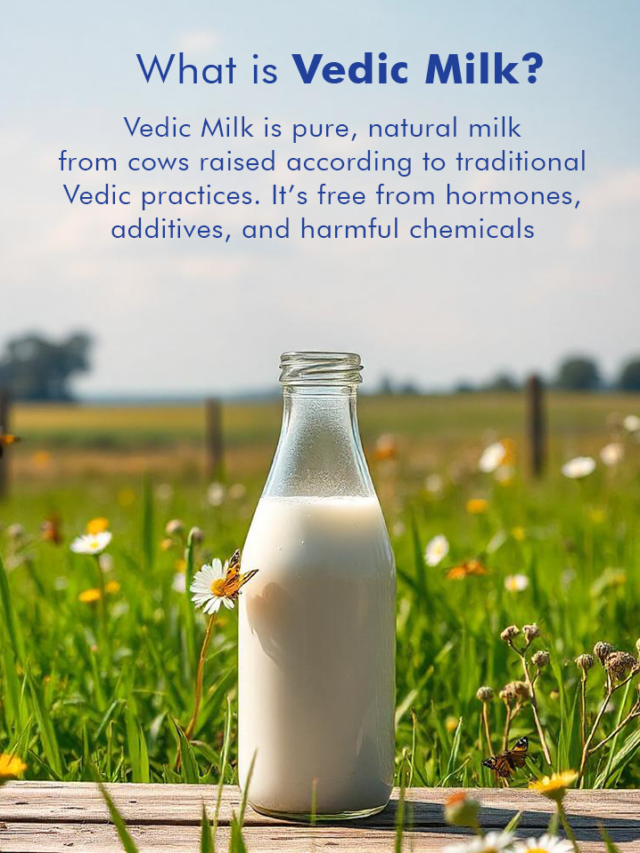 What is Vedic Milk and Why Should You Switch?