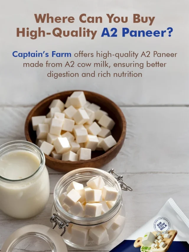 A2 Paneer vs. Tofu – Which One is Healthier?