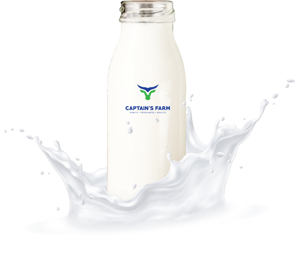 Organic A2 Cow Milk