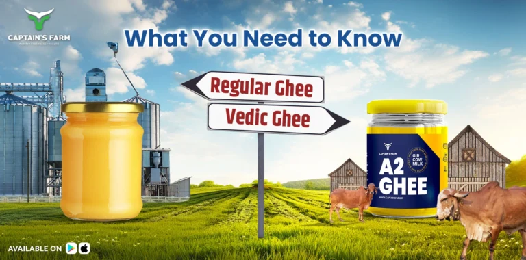 A2 Ghee vs Regular Ghee: What You Need to Know