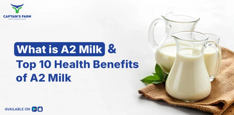 Top 10 Health Benefits of A2 Cow Milk: Why You Should Switch Today