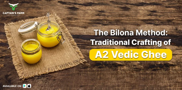 The Bilona Method: Traditional Crafting of A2 Vedic Ghee