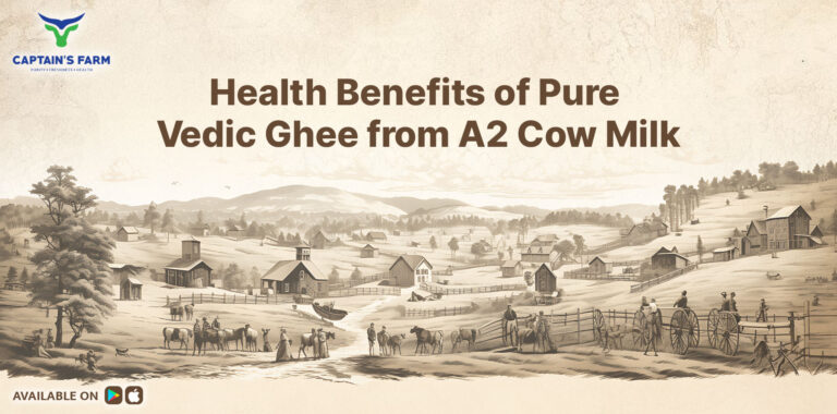 What is Vedic Ghee: The Secret Health Benefits